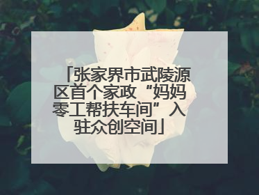 张家界市武陵源区首个家政“妈妈零工帮扶车间”入驻众创空间