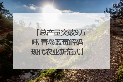 总产量突破9万吨 青岛蓝莓解码现代农业新范式