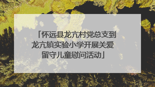 怀远县龙亢村党总支到龙亢镇实验小学开展关爱留守儿童慰问活动