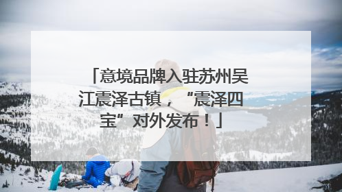意境品牌入驻苏州吴江震泽古镇，“震泽四宝”对外发布！
