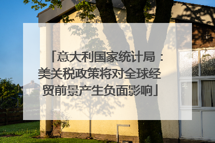 意大利国家统计局：美关税政策将对全球经贸前景产生负面影响