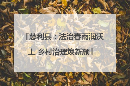 慈利县：法治春雨润沃土 乡村治理焕新颜