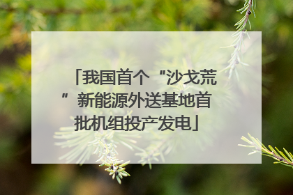 我国首个“沙戈荒”新能源外送基地首批机组投产发电