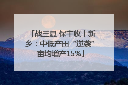 战三夏 保丰收丨新乡：中低产田“逆袭” 亩均增产15%