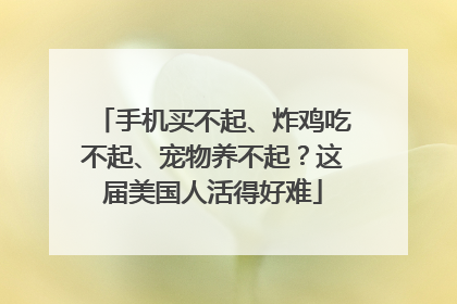手机买不起、炸鸡吃不起、宠物养不起？这届美国人活得好难