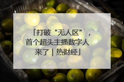 打破“无人区”，首个超头主播数字人来了｜热财经