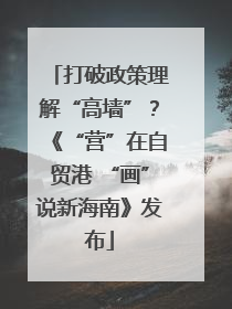 打破政策理解“高墙”？《“营”在自贸港 “画”说新海南》发布