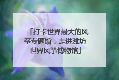 打卡世界最大的风筝专题馆，走进潍坊世界风筝博物馆