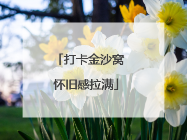 打卡金沙窝 怀旧感拉满