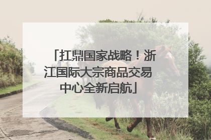 扛鼎国家战略！浙江国际大宗商品交易中心全新启航