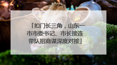 扣门长三角，山东一市市委书记、市长接连带队招商谋深度对接