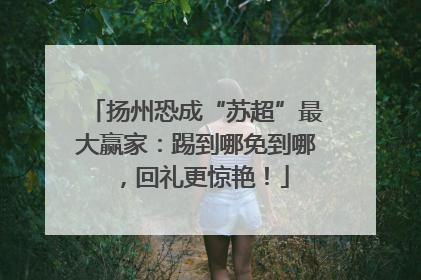 扬州恐成“苏超”最大赢家：踢到哪免到哪，回礼更惊艳！