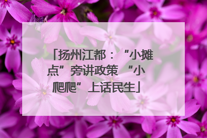 扬州江都：“小摊点”旁讲政策 “小爬爬”上话民生