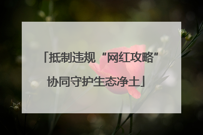 抵制违规“网红攻略” 协同守护生态净土