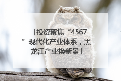 投资聚焦“4567”现代化产业体系，黑龙江产业换新景