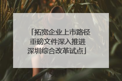 拓宽企业上市路径 重磅文件深入推进深圳综合改革试点