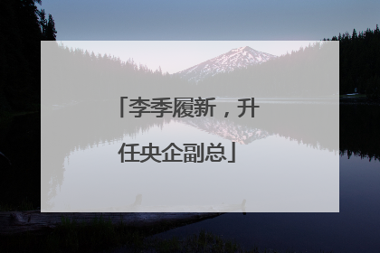 李季履新，升任央企副总