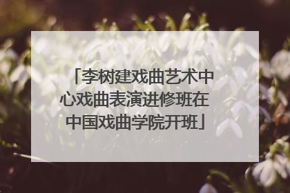 李树建戏曲艺术中心戏曲表演进修班在中国戏曲学院开班