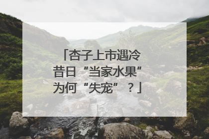 杏子上市遇冷 昔日“当家水果”为何“失宠”？