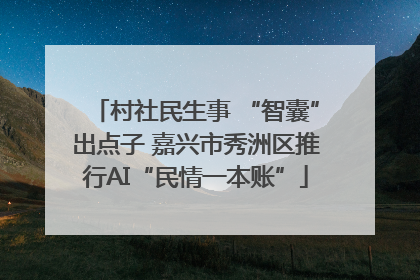 村社民生事 “智囊”出点子 嘉兴市秀洲区推行AI“民情一本账”