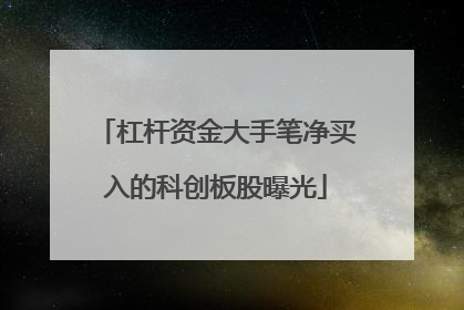 杠杆资金大手笔净买入的科创板股曝光