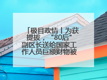 极目政情丨为获提拔，“80后”副区长送给国家工作人员巨额财物被“双开”