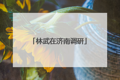林武在济南调研