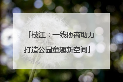 枝江：一线协商助力打造公园童趣新空间