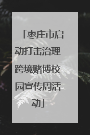 枣庄市启动打击治理跨境赌博校园宣传周活动