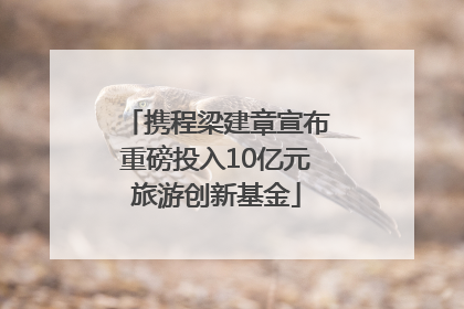 携程梁建章宣布重磅投入10亿元旅游创新基金