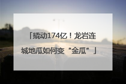 撬动174亿！龙岩连城地瓜如何变“金瓜”
