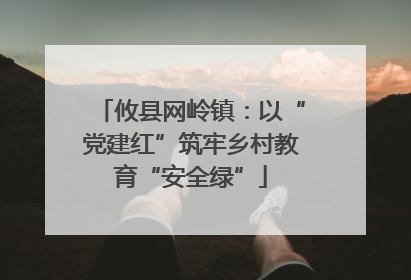 攸县网岭镇：以“党建红”筑牢乡村教育“安全绿”