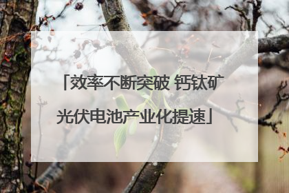 效率不断突破 钙钛矿光伏电池产业化提速