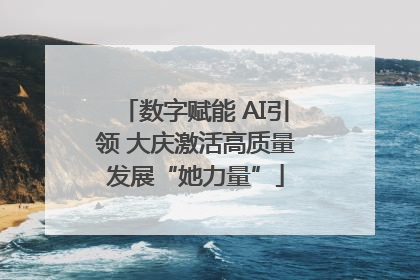 数字赋能 AI引领 大庆激活高质量发展“她力量”