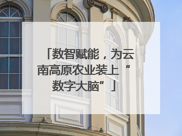 数智赋能，为云南高原农业装上“数字大脑”