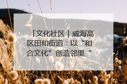 文化社区｜威海高区田和街道：以“和合文化”创造邻里“和合之美”
