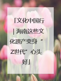 文化中国行｜海南这些文化遗产变身“Z世代”心头好