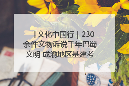 文化中国行｜230余件文物诉说千年巴蜀文明 成渝地区基建考古成果展开展
