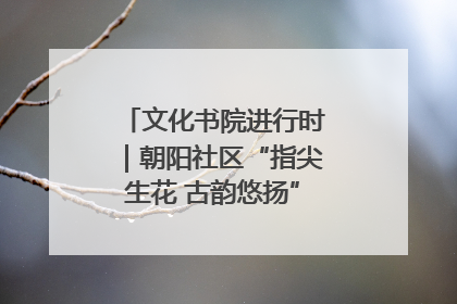 文化书院进行时｜朝阳社区“指尖生花 古韵悠扬”公益课堂开课了