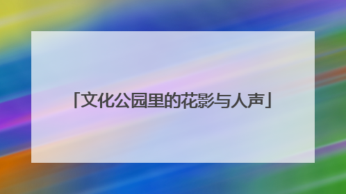文化公园里的花影与人声