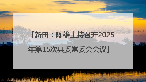 新田：陈雄主持召开2025年第15次县委常委会会议