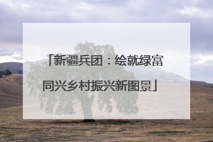 新疆兵团：绘就绿富同兴乡村振兴新图景