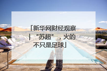 新华网财经观察｜“苏超”，火的不只是足球