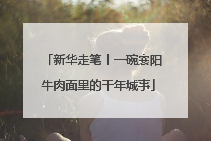 新华走笔丨一碗襄阳牛肉面里的千年城事