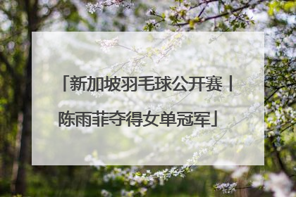 新加坡羽毛球公开赛丨陈雨菲夺得女单冠军