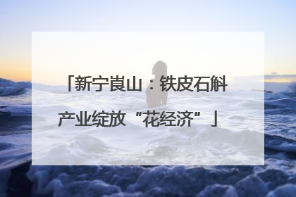 新宁崀山：铁皮石斛产业绽放“花经济”