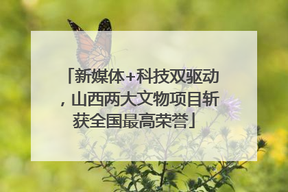 新媒体+科技双驱动，山西两大文物项目斩获全国最高荣誉