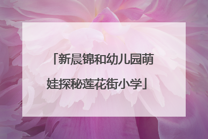 新晨锦和幼儿园萌娃探秘莲花街小学