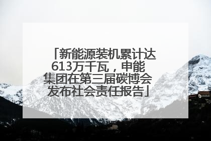 新能源装机累计达613万千瓦，申能集团在第三届碳博会发布社会责任报告