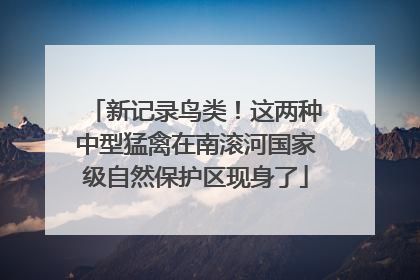 新记录鸟类！这两种中型猛禽在南滚河国家级自然保护区现身了